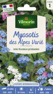 Myosotis des Alpes Varié